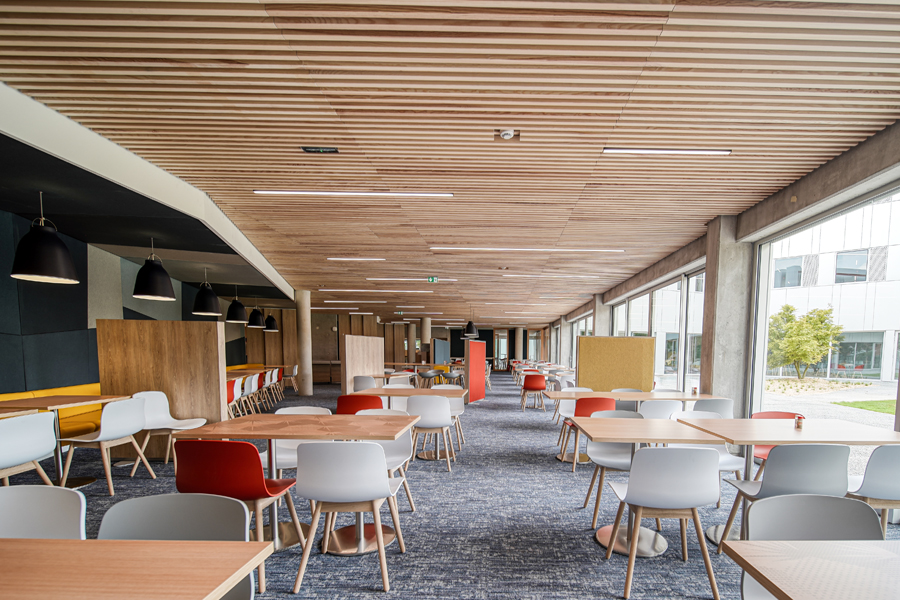 Plafond salle de restaurant K-Line